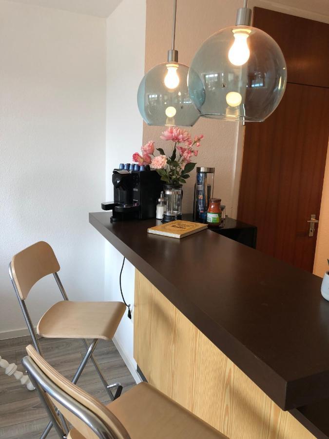 Grosses Appartement Mit Aussichtsbalkon Ludwigsburg Exterior foto